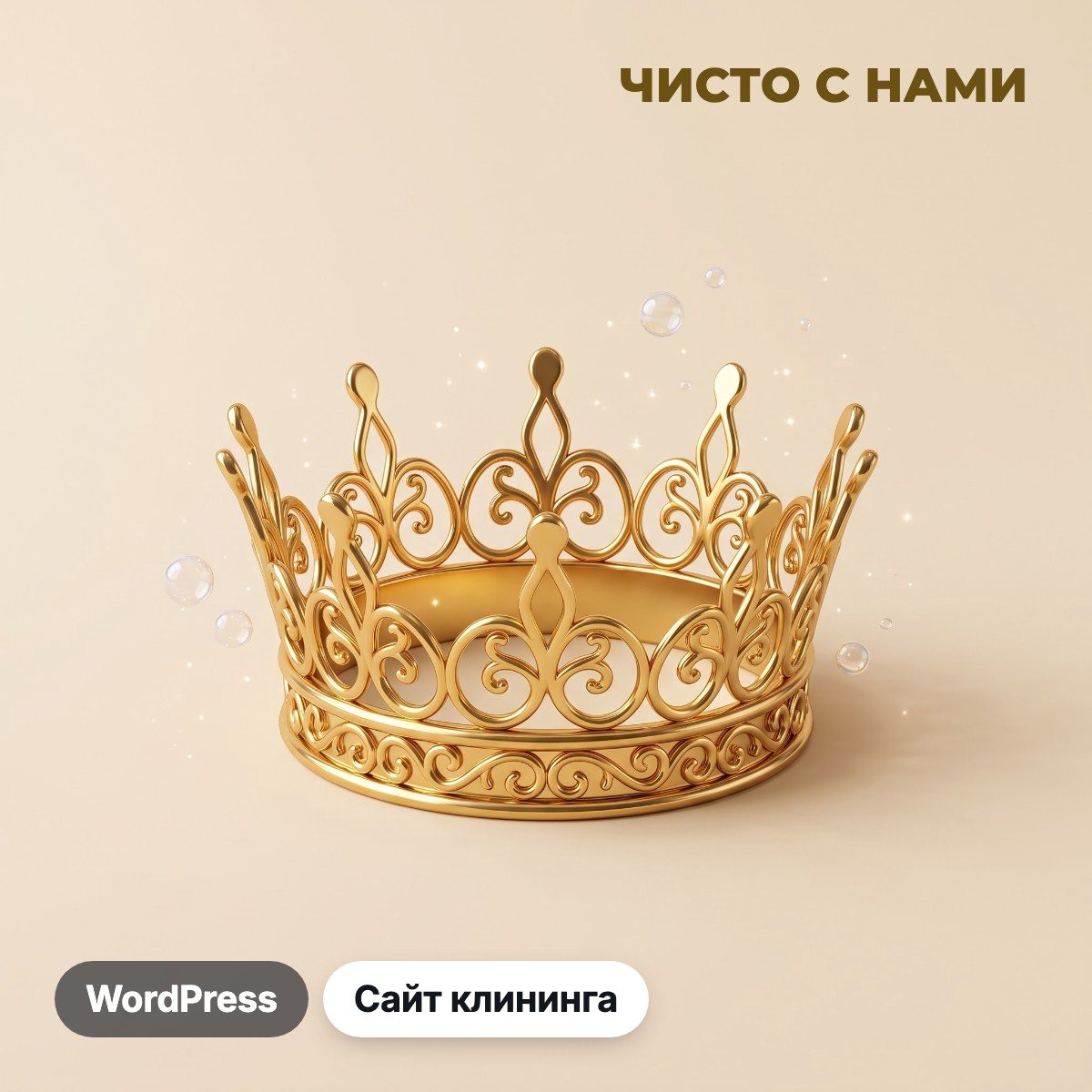 Чисто с нами
