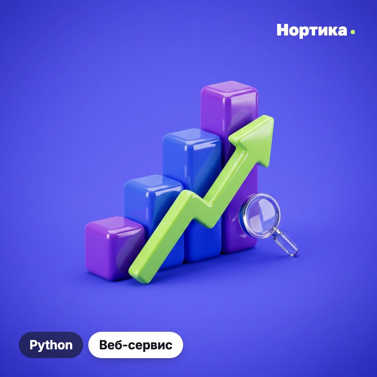 Нортика
